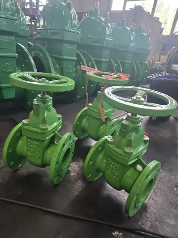 01 / Flanged gate valve workshop lineup